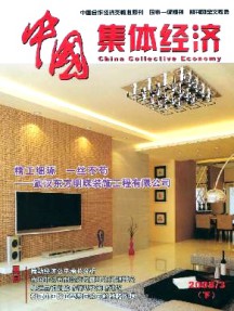 中国集体经济·下半月杂志